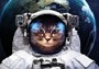 astronauta